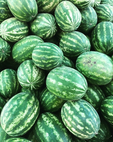 watermelon image