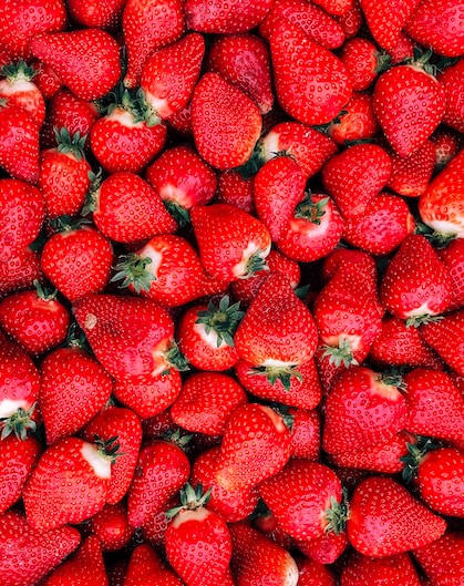 Fruit 3