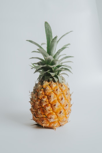 Fruit 3