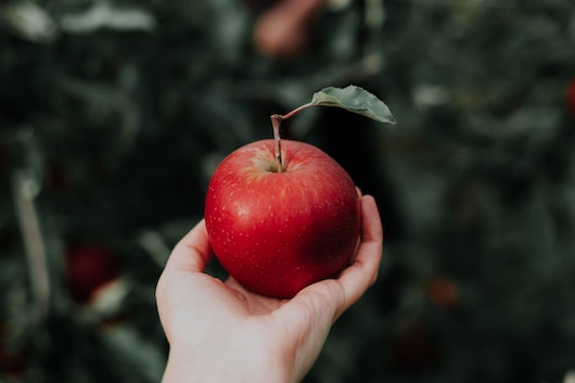 Fruit 4
